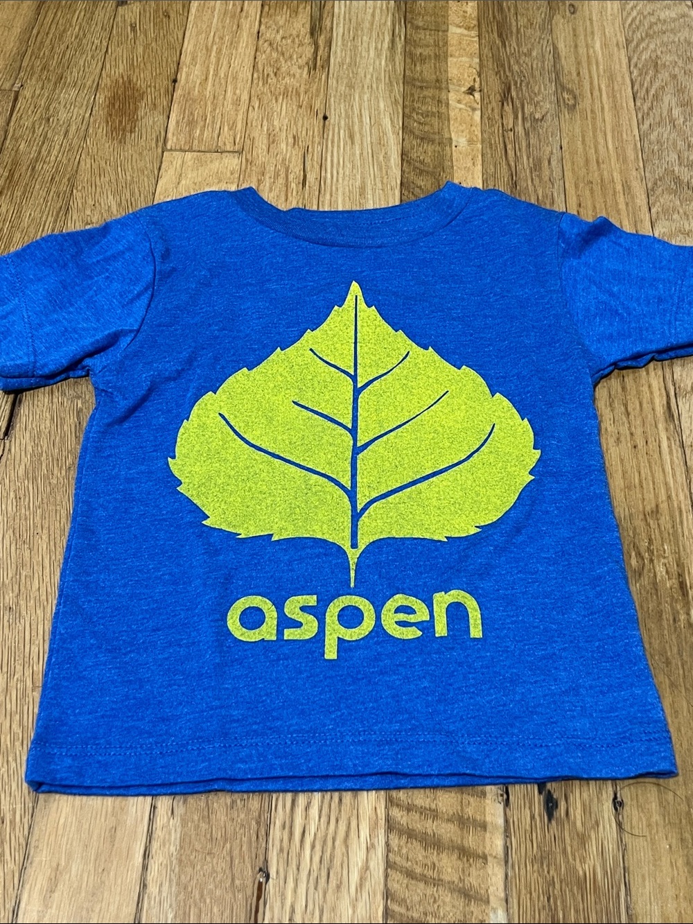 a.n.a Kids Blue Tee with Lime Leaf Graphic